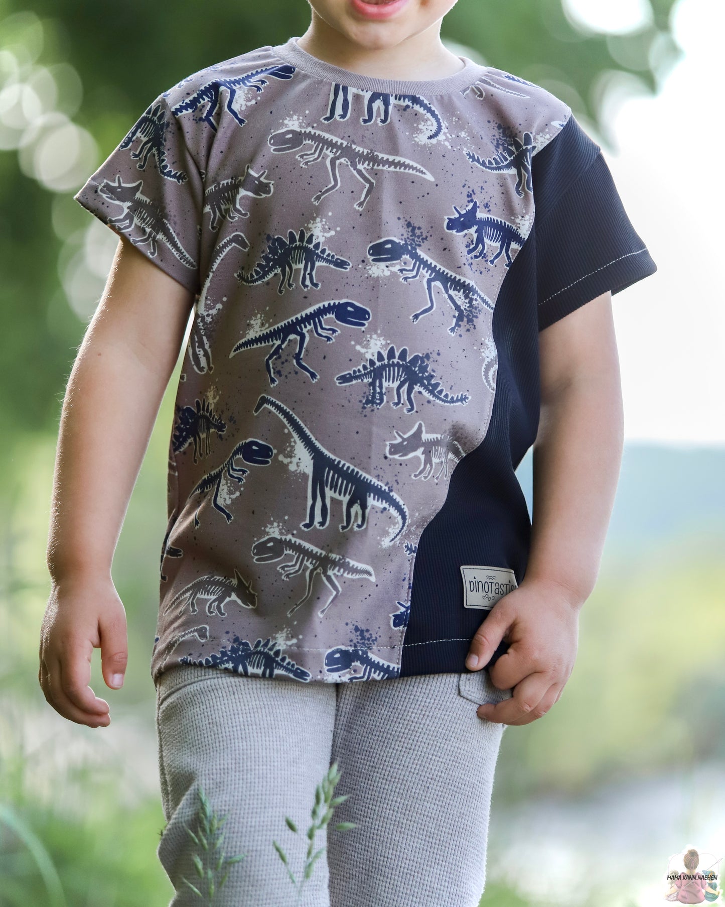 Dino Fossilien