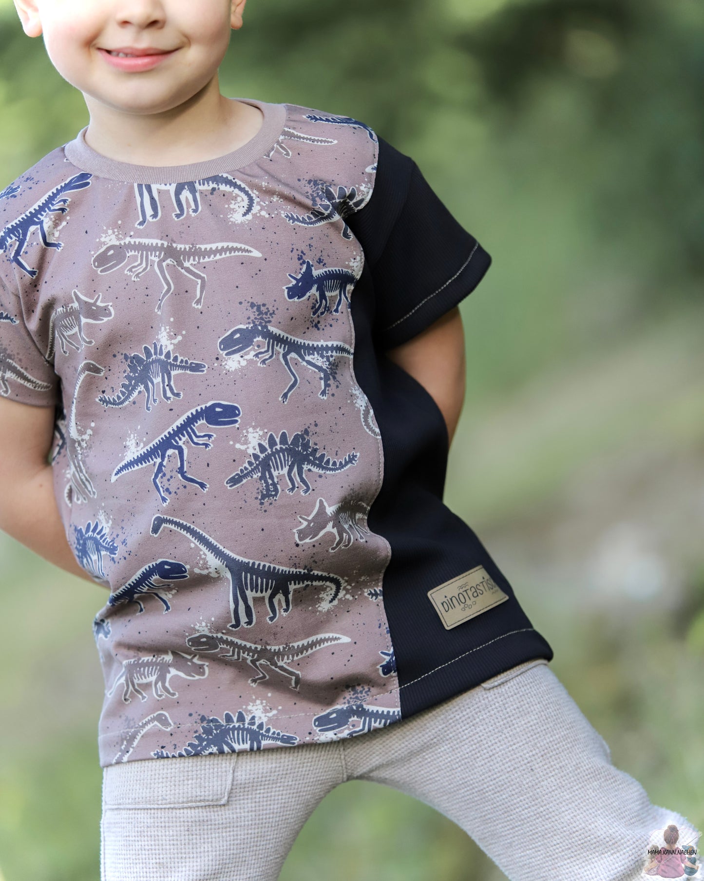 Dino Fossilien