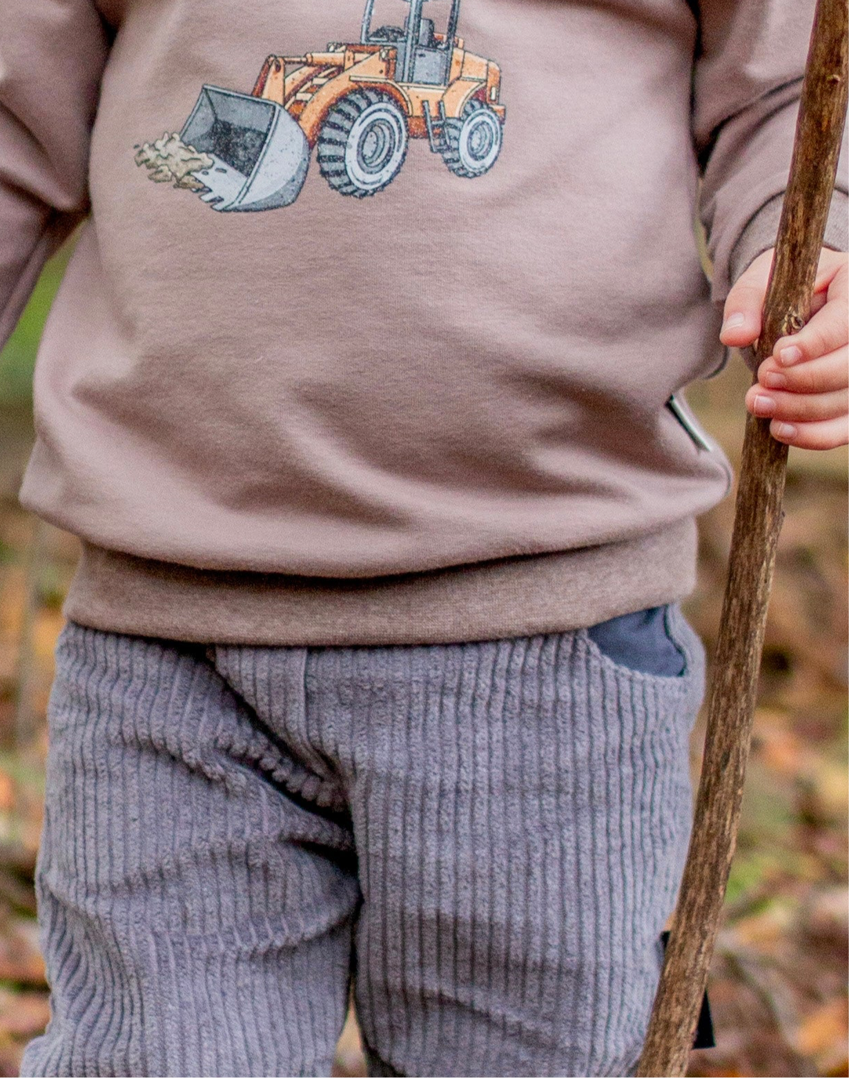 SWAFING Breitcord - Grau