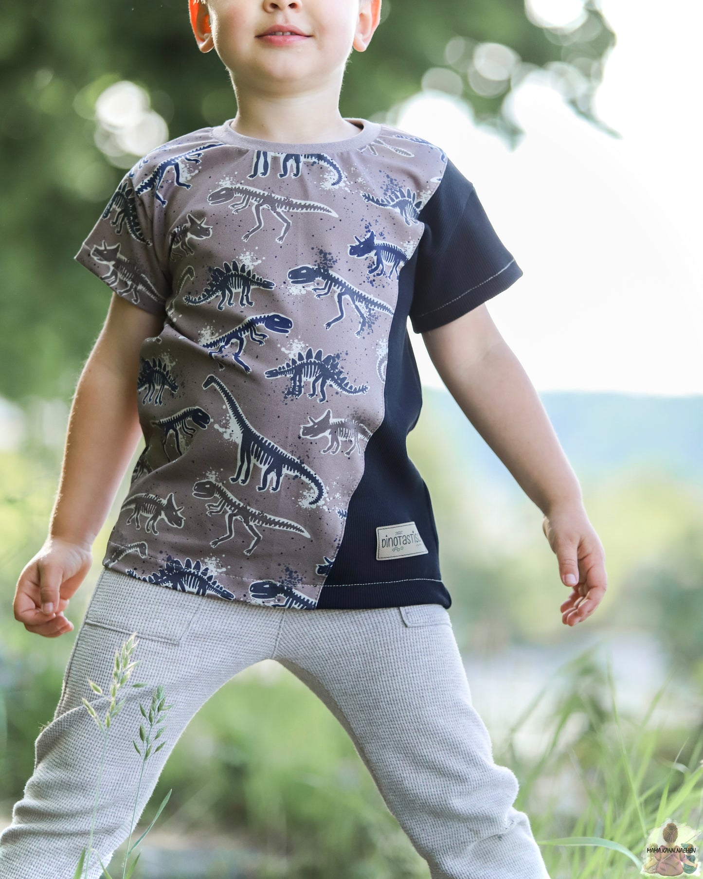 Dino Fossilien