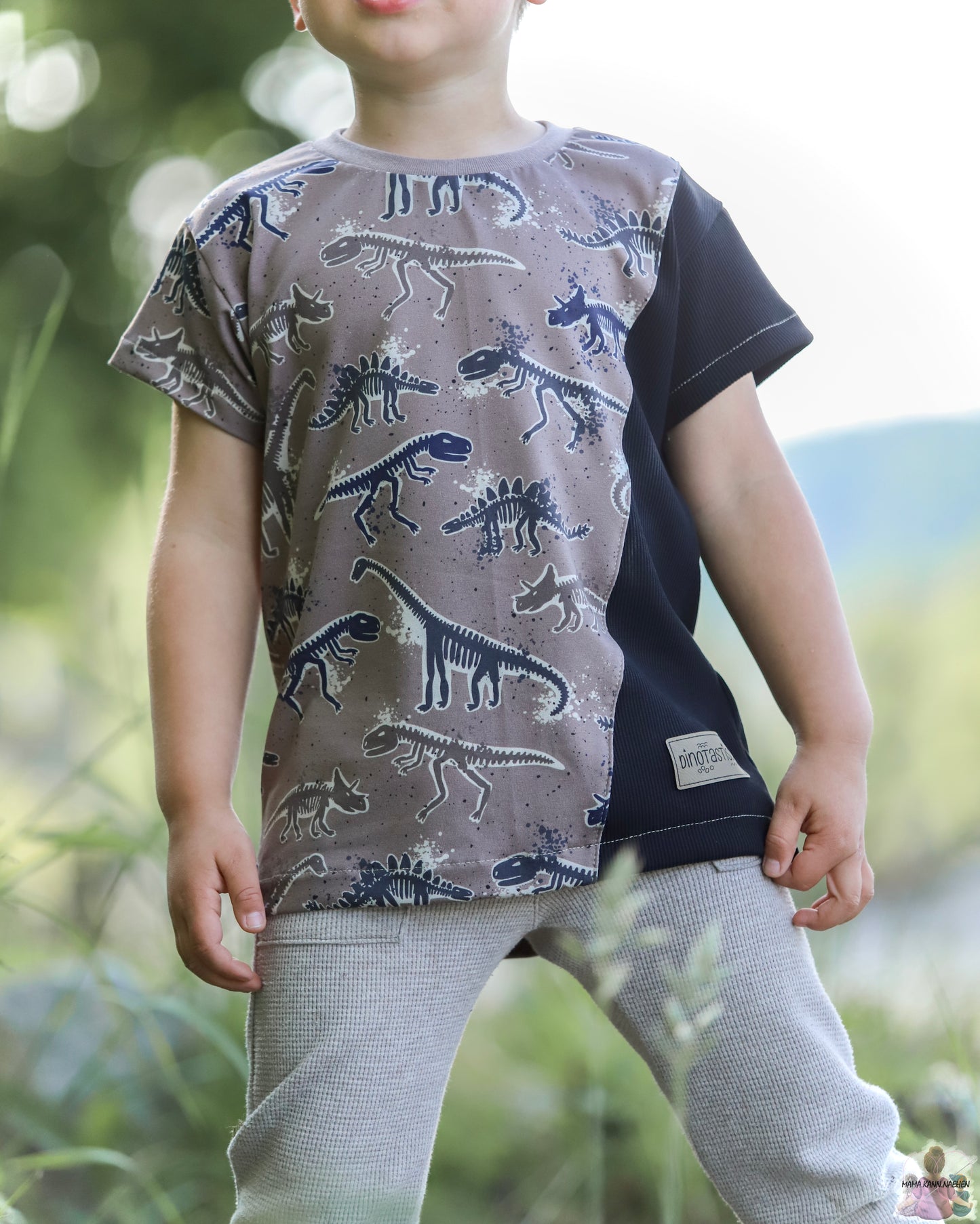 Dino Fossilien