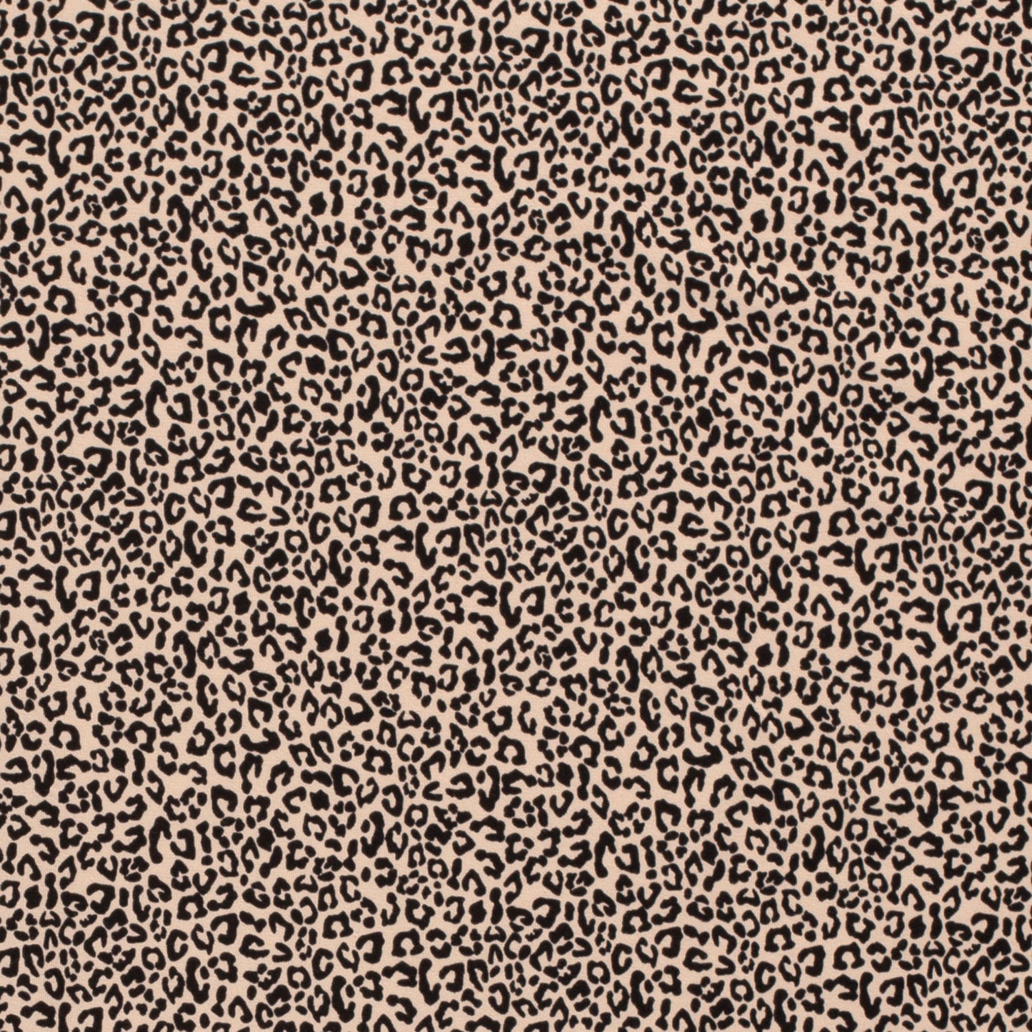 Leo Beige - Jersey