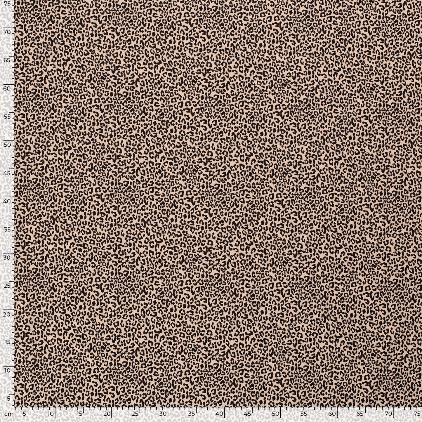Leo Beige - Jersey