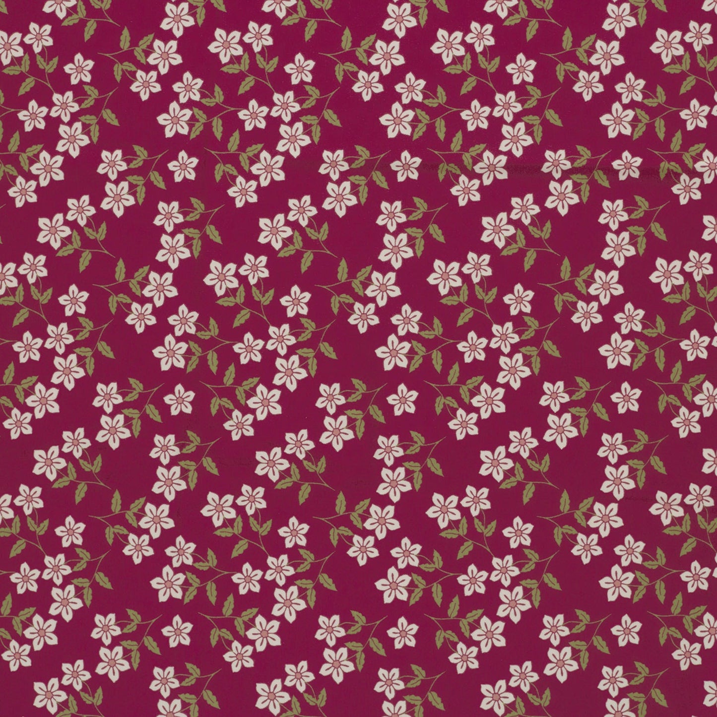 Kirschblüten - Jersey