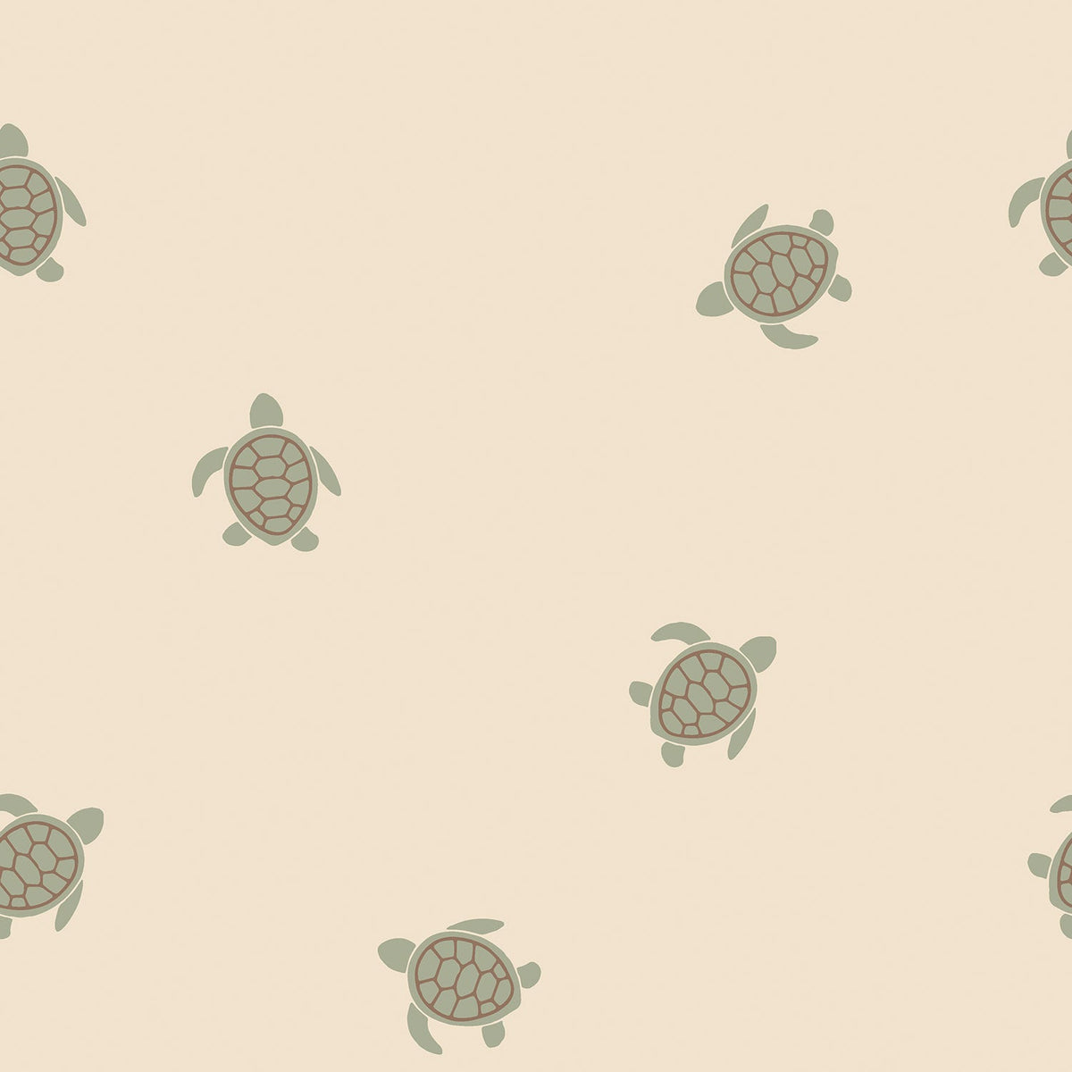 Terry Crepp Schildkröte