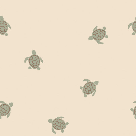 Terry Crepp Schildkröte