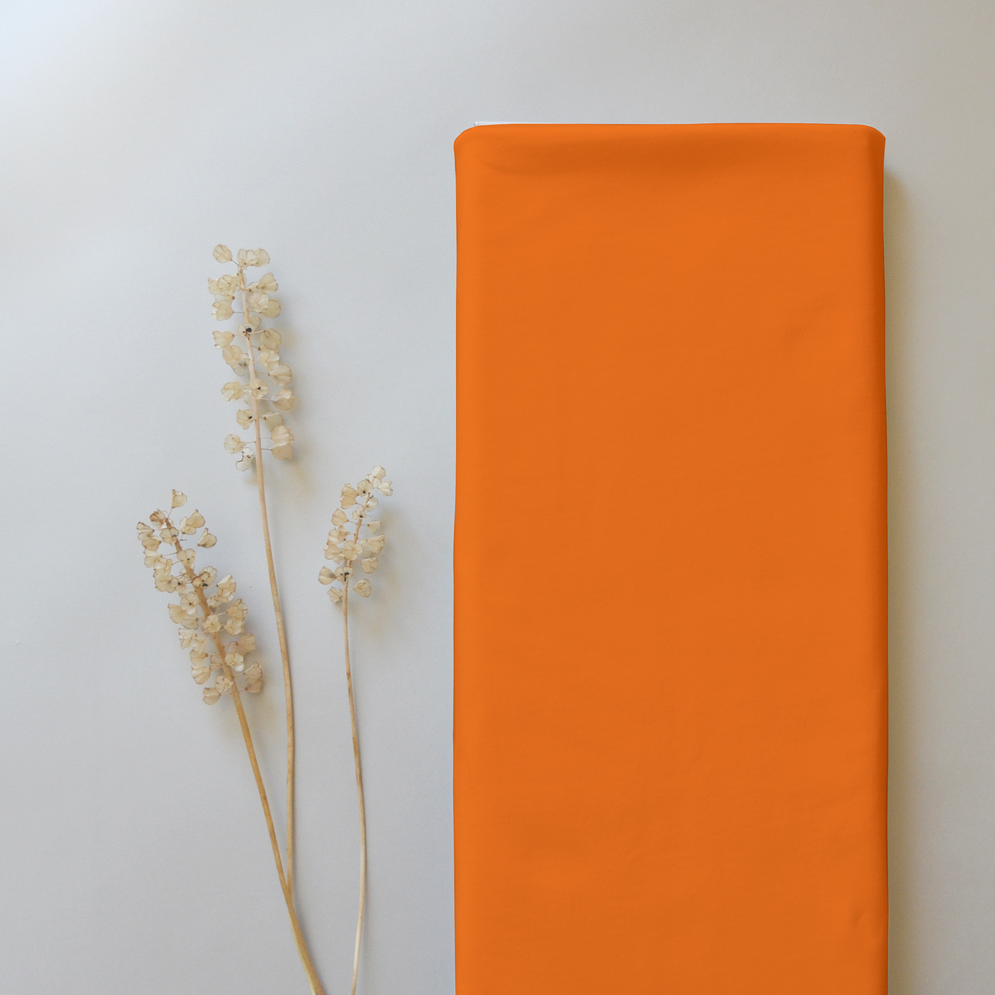 *VORBESTELLUNG* Neon Uni