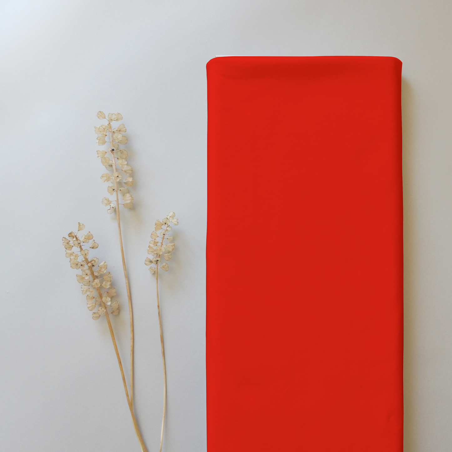 *VORBESTELLUNG* Neon Uni